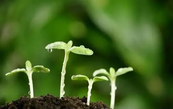 农业到了必须要改变的时刻了！